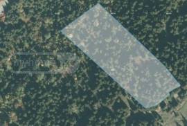 Land For Sale, Mestia