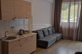 Daily Apartment Rent, New building, Bakuriani