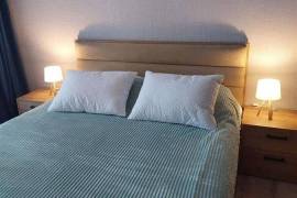 Daily Apartment Rent, 2 Room, New building, Borjomi , Bakuriani