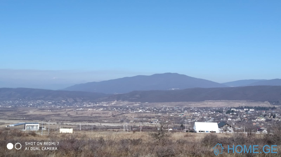 Land For Sale, Shankevani