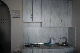Daily Apartment Rent, 2 Room, Old building, Borjomi , Bakuriani