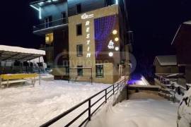 Daily Rent, 2 Room, Borjomi , Bakuriani