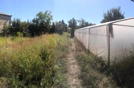 Land For Sale, Non Agricultural, Tamarisi