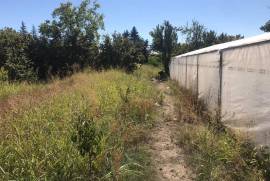 Land For Sale, Non Agricultural, Tamarisi