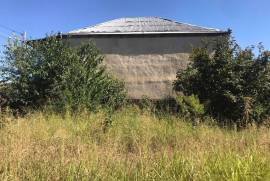 Land For Sale, Non Agricultural, Tamarisi