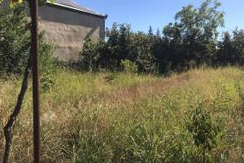 Land For Sale, Non Agricultural, Tamarisi