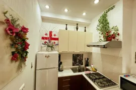 Daily Apartment Rent, New building, Mtatsminda