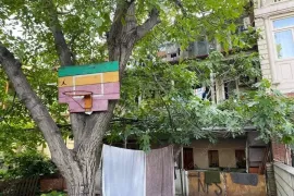 Продается Дом, 6 Kомнатная, Тбилиси, Старий Тбилиси