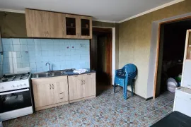 House For Sale, Tskneti