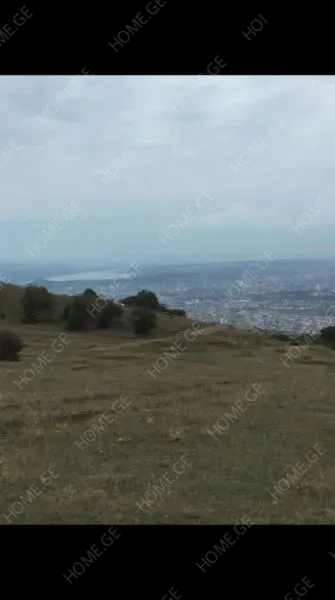 Land For Sale, Mukhatgverdi