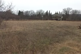 იყიდება მიწის ნაკვეთი, სასოფლო - სამეურნეო, პატარა ქანდა