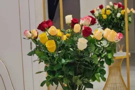 Продается квартира, 4 Kомнатная, Новостройка, Тбилиси, Дидубе