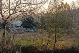 იყიდება მიწის ნაკვეთი, სასოფლო - სამეურნეო