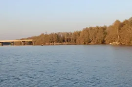 იყიდება მიწის ნაკვეთი, სასოფლო - სამეურნეო