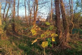 იყიდება მიწის ნაკვეთი, სასოფლო - სამეურნეო