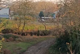 იყიდება მიწის ნაკვეთი, სასოფლო - სამეურნეო