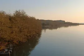 იყიდება მიწის ნაკვეთი, სასოფლო - სამეურნეო