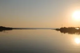 იყიდება მიწის ნაკვეთი, სასოფლო - სამეურნეო