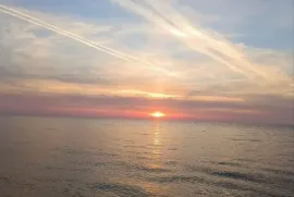 იყიდება მიწის ნაკვეთი, სასოფლო - სამეურნეო