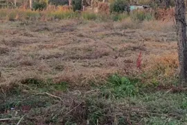 იყიდება მიწის ნაკვეთი, სასოფლო - სამეურნეო