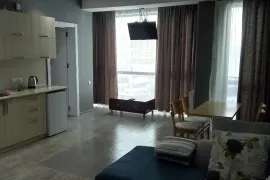 Аренда квартир посуточно, 2 Kомнатная, Новостройка, Боржомский район, Бакуриани