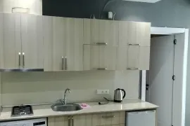 Аренда квартир посуточно, 2 Kомнатная, Новостройка, Боржомский район, Бакуриани