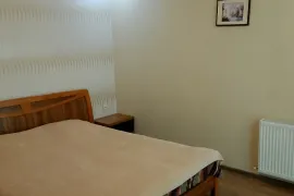 Аренда квартир посуточно, 2 Kомнатная, Новостройка, Боржомский район, Бакуриани