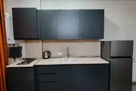 Daily Apartment Rent, 1 Room, New building, Borjomi , Bakuriani