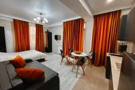 Daily Apartment Rent, 1 Room, New building, Borjomi , Bakuriani