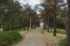 Продается , Пищевой объект, Озеро Лиси