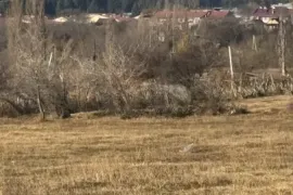 Land For Sale, Agricultural, Varketili