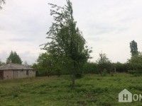 იყიდება მიწის ნაკვეთი, სასოფლო - სამეურნეო