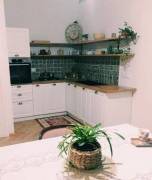 House For Rent, 6 Room, Tbilisi, Tkhinvali