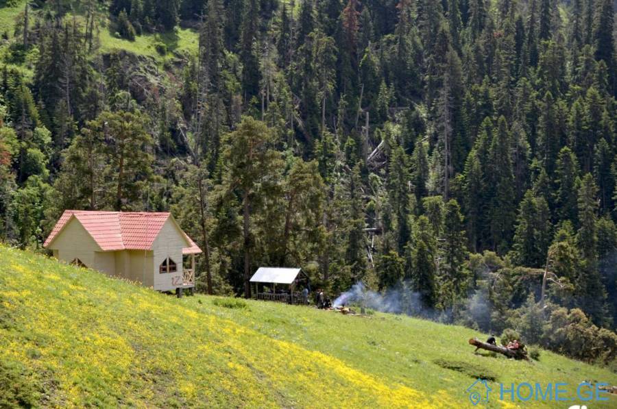 იყიდება მიწის ნაკვეთი, ზანავი