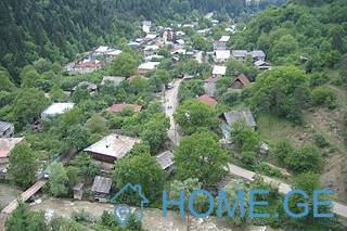 იყიდება მიწის ნაკვეთი, სასოფლო - სამეურნეო, წაღვერი
