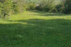 Land For Sale, Martkopi