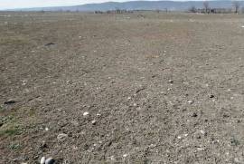 Land For Sale, Gamarjveba 