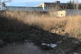 Land For Rent, Non Agricultural