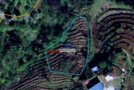 Land For Sale, Tamari Settlement