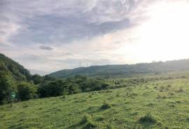Land For Sale, Agricultural, Akhatani