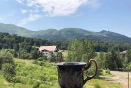 Apartment for sale, 2 Room, New building, Borjomi , Bakuriani