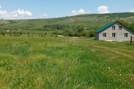Продается Земля, Сельскохозяйственные, Qvemo Nakalakari