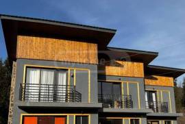 House For Rent, 4 Room, Borjomi , Bakuriani