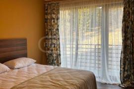 House For Rent, 4 Room, Borjomi , Bakuriani