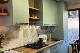 House For Rent, 4 Room, Borjomi , Bakuriani