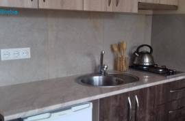 ქირავდება ბინა დღიურად, 1 ოთახიანი, ახალი აშენებული, ბორჯომი, ბაკურიანი