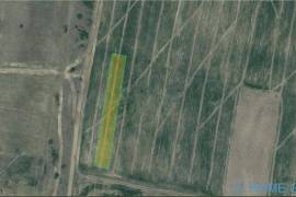 Land For Sale, Agricultural, Gamarjveba 