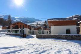 Daily Rent, 3 Room, Borjomi , Bakuriani