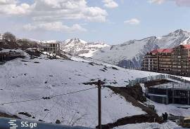 იყიდება მიწის ნაკვეთი, გუდაური