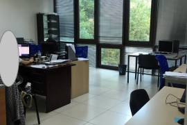 ქირავდება, საოფისე ფართი, საბურთალო